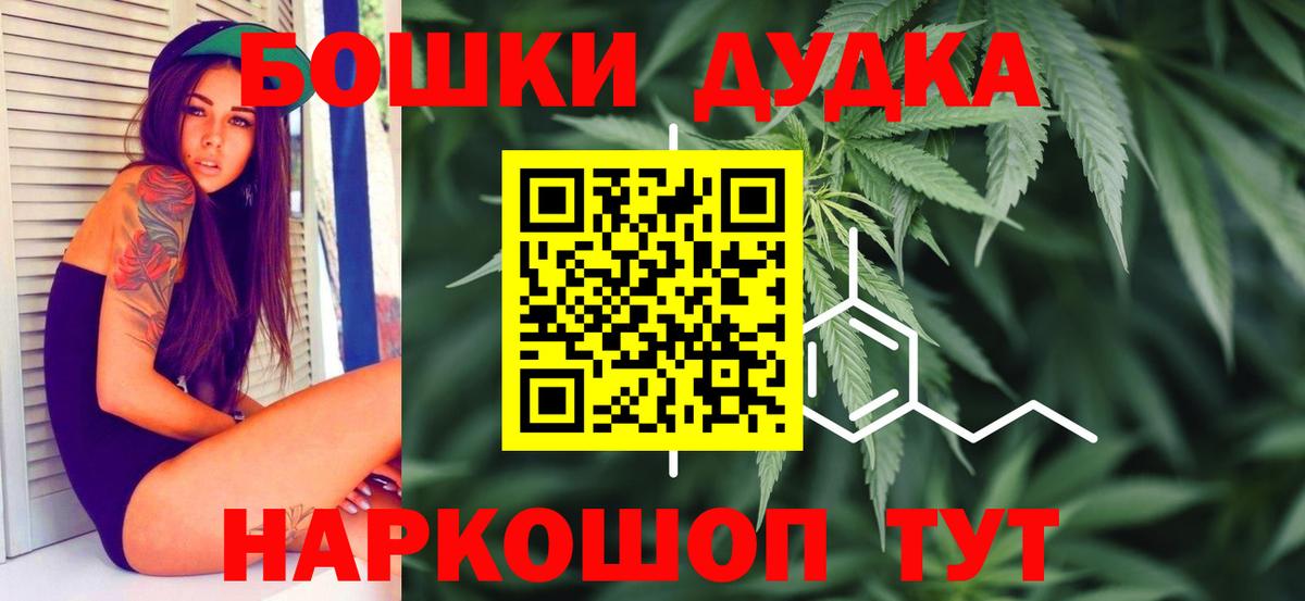 Каннабис сатива Пугачёв